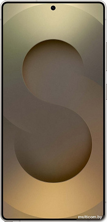 Samsung Galaxy S25 Ultra SM-S938B 12GB/1TB (серый титан)