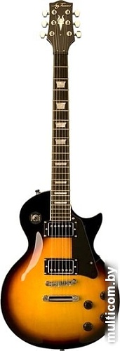 Электрогитара Jay Turser JT-220-VS