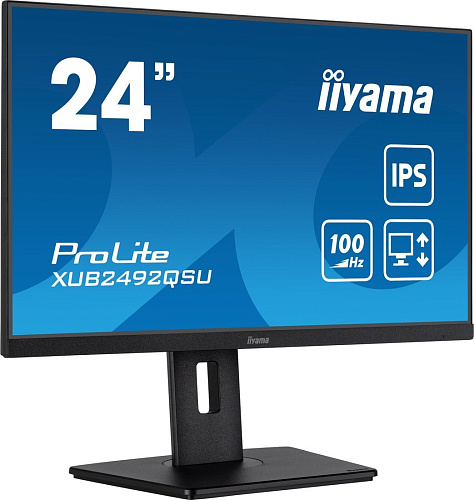 Монитор Iiyama ProLite XUB2492QSU-B1