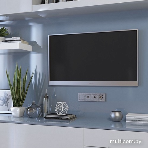 Накладка для компьютерной/телефонной розетки Werkel W1292006 a052070