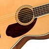Электроакустическая гитара Fender PM-2 Standard Parlor Natural