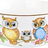 Салатник Elan Gallery Совушки 420348