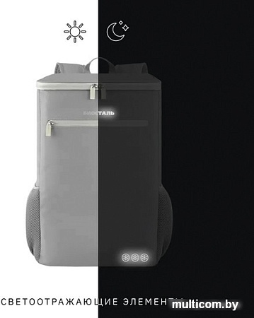 Терморюкзак BIOSTAL Сити TRP-25D 25л (серый)