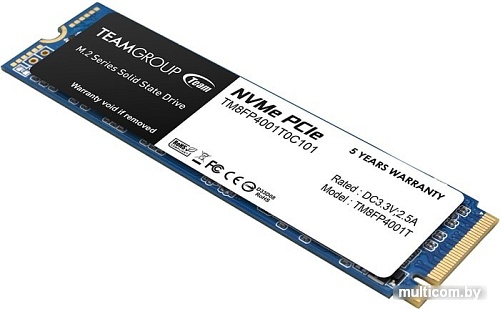 SSD Team MP34 1TB TM8FP4001T0C101