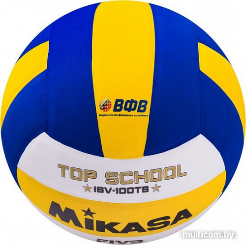 Мяч Mikasa ISV-100TS (5 размер)