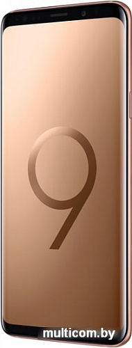 Смартфон Samsung Galaxy S9+ Dual SIM 64GB Exynos 9810 (золотистый)