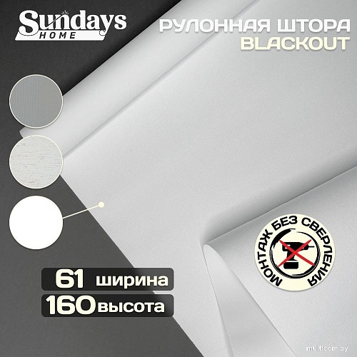 Рулонные шторы Sundays Home Оливия 61х160 с 2-мя направляющими LM-15 150см (белый)