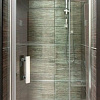 Душевая дверь Omnires Manhattan ADP10X LUX-T