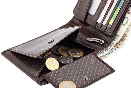 Кошелек Cedar Rovicky PC-103-BAR (коричневый)