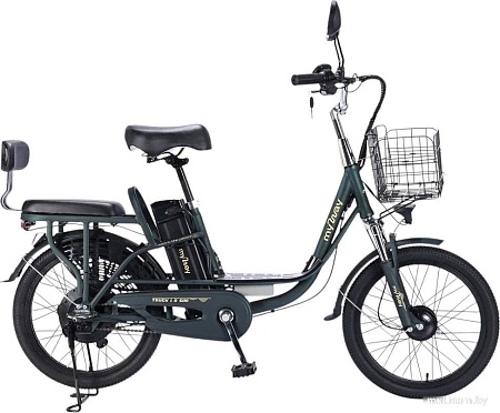Электровелосипед MyWay Truck 1.0 500 24 (15, темно-зеленый)