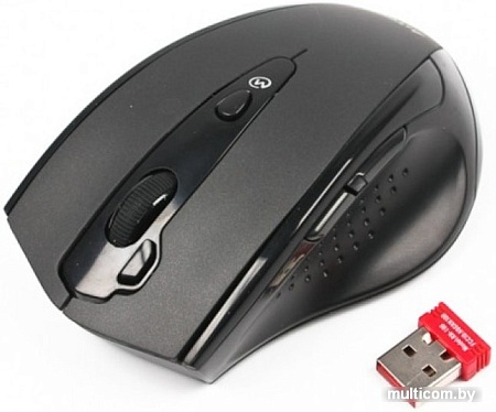 Мышь A4Tech G10-810FS