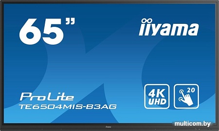 Интерактивная панель Iiyama ProLite TE6504MIS-B3AG
