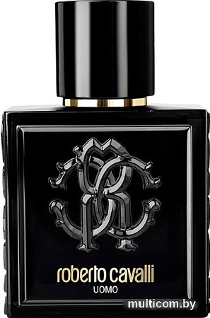 Парфюмерия Roberto Cavalli Uomo EdT (100 мл)