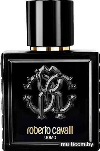 Парфюмерия Roberto Cavalli Uomo EdT (100 мл)