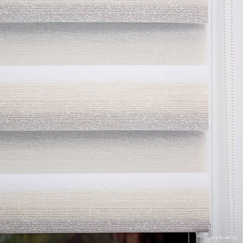 Шторы день-ночь Lm Decor Дабл ДН LB 55-02 140x170