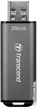 USB Flash Transcend JetFlash 920 256GB