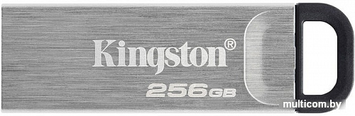 USB Flash Kingston Kyson 256GB