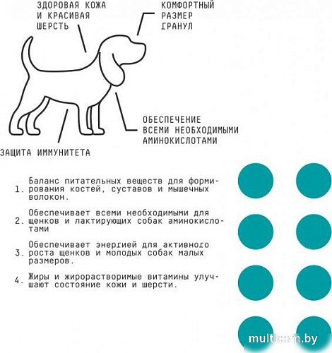 Сухой корм для собак AJO Dog Mini Puppy & Junior с гречкой для щенков малых пород 8 кг
