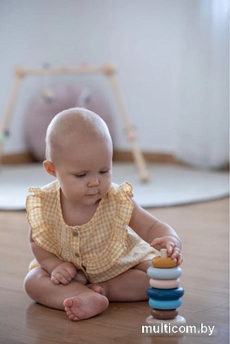 Пирамидка Plan Toys Кольца 5474