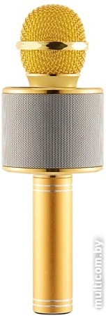 Микрофон Wise WS-858 S (золотистый)