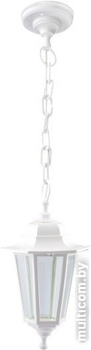 Уличный подвесной светильник ЭРА НСУ 06-60-001 Б0048110