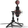 Микрофон Ritmix RDM-230 USB Eloquence