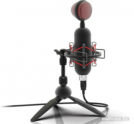 Микрофон Ritmix RDM-230 USB Eloquence