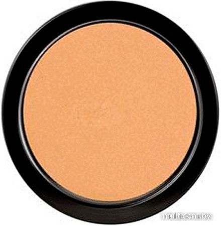 Тональная пудра Paese Illuminating Covering Powder (тон 3C)