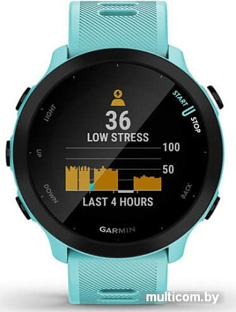 Умные часы Garmin Forerunner 55 (бирюзовый)