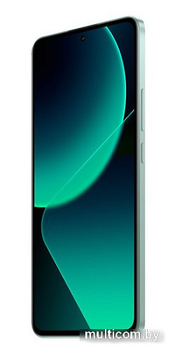 Смартфон Xiaomi 13T Pro 12GB/512GB международная версия (зеленый луг)