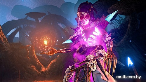 Tiny Tina's Wonderlands для PlayStation 4