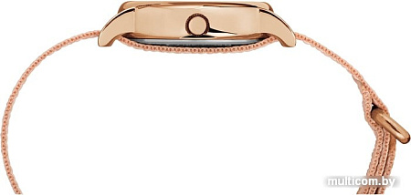 Наручные часы Timex TW2R59900