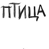 Эксмо. Птица (Аркатова А.)