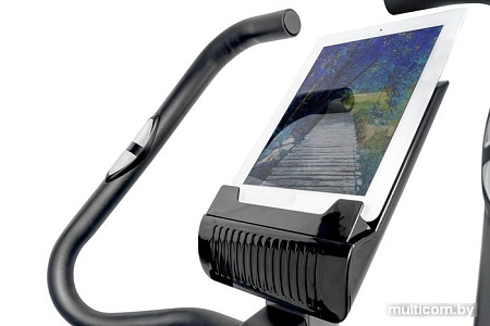 Велотренажер Alpin Gross