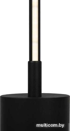 Торшер Maytoni MOD147FL-L20BK1