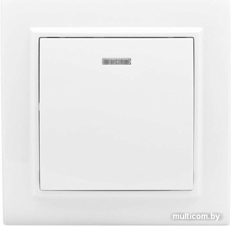 Выключатель EKF Basic Минск ERV10-121-10