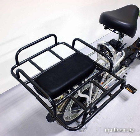 Электровелосипед GreenCamel Транк-18 V2 R18 (250W 60V 20Ah)