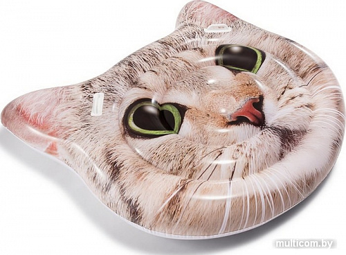 Надувной плот Intex Curious Cat 58784