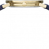Наручные часы Pierre Cardin Belleville Monogram CBV.1505