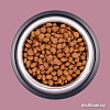 Сухой корм для кошек Unica Classe Lovely Care Condition Adult Sterilized Luxury Hairball Lamb (для здоровья шерсти с ягненком) 300 г