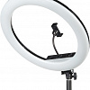 Кольцевая лампа Falcon Eyes BeautyLight 480RC LED