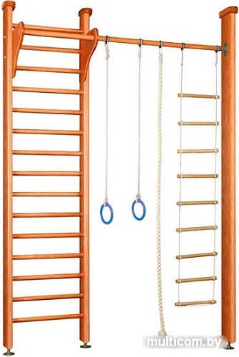 Детский спортивный комплекс Карусель 3Д.02.01 (орех)