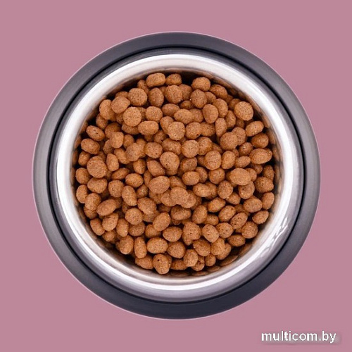 Сухой корм для кошек Unica Classe Lovely Care Condition Adult Sterilized Luxury Hairball Lamb (для здоровья шерсти с ягненком) 300 г