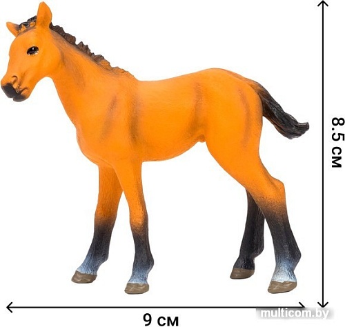 Игровой набор Masai Mara На ферме ММ205-031