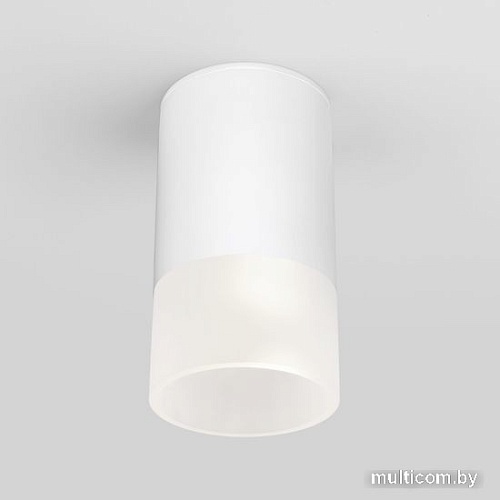 Уличный накладной светильник Elektrostandard Light 2106 35139/H (белый)