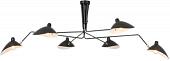 Подвесная люстра ST Luce Spruzzo SL305.402.06