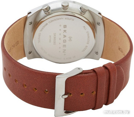 Наручные часы Skagen SKW6085