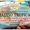 Nesti Dante Мыло твердое St. Barth&#039;s Coconut &amp; Frangipani 250 г