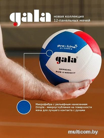 Волейбольный мяч Gala Pro-Line 12 BV 5595 SA (размер 5, белый/красный/голубой)
