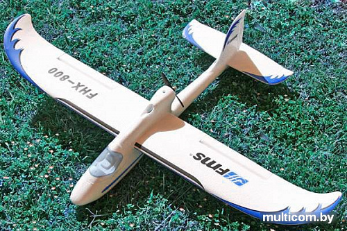 Самолет FMS Easy Trainer